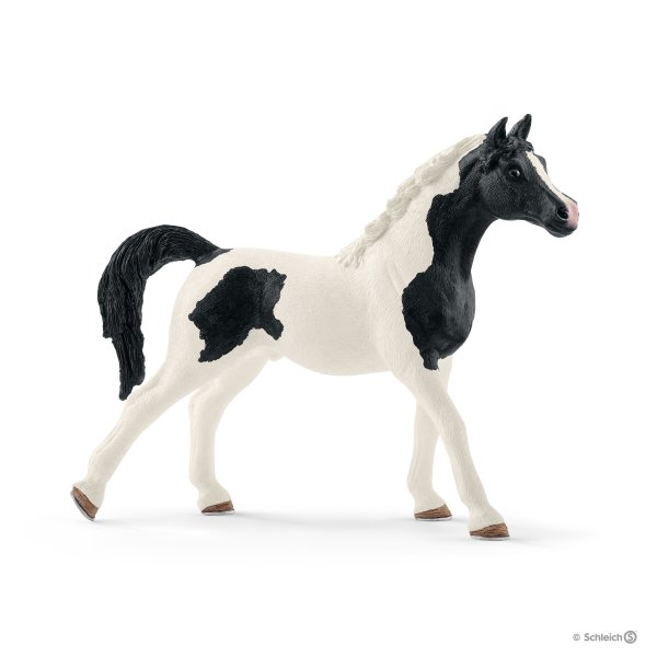 schleich-13840-stallone-arabo-pinto