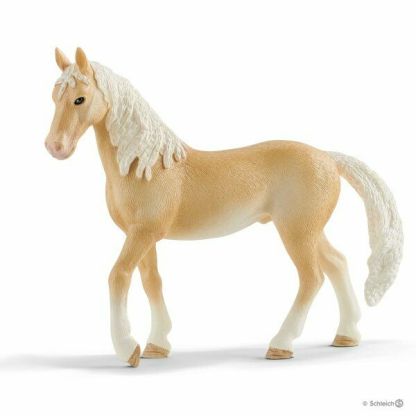 Stallone Akhal-Teke - Scheich