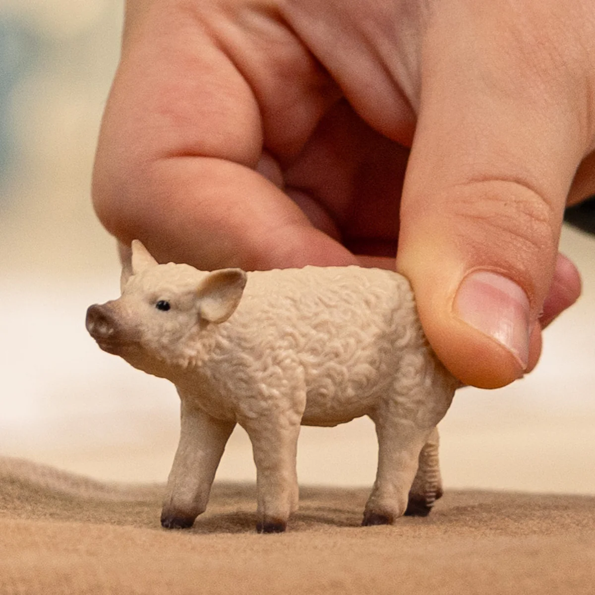 schleich-14893-maialino-mangalica